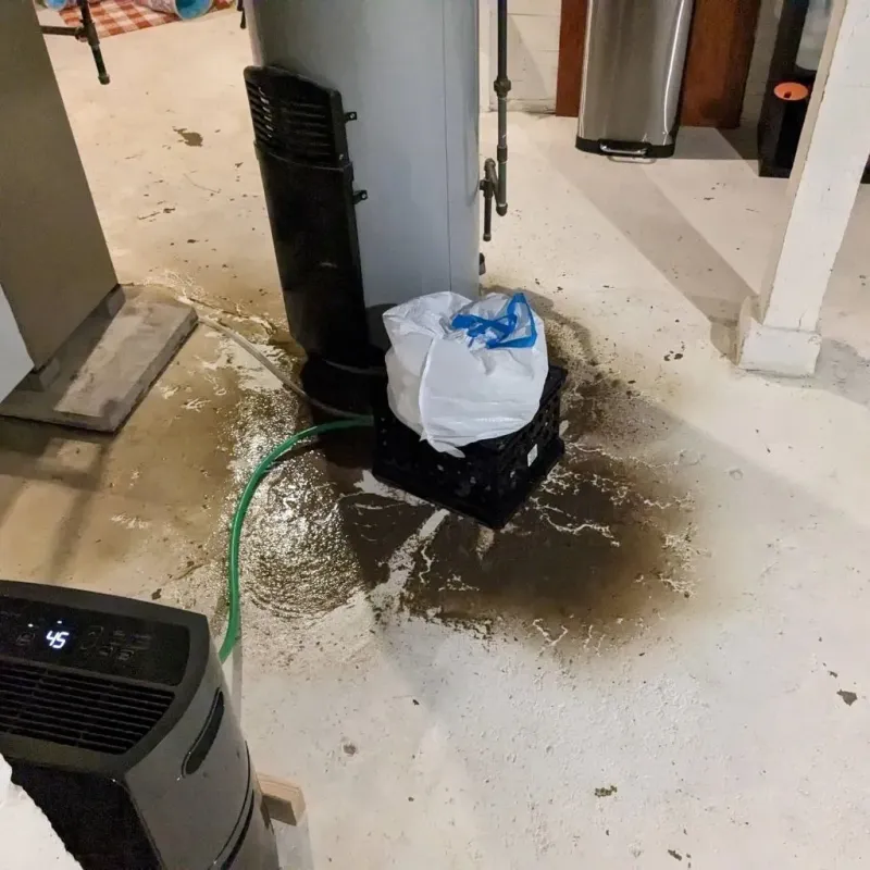 Sewage Backup Cleanup Service in Harrison County, MS